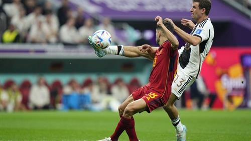Bet 365 Sport: Guide to Year-Round Sports Betting